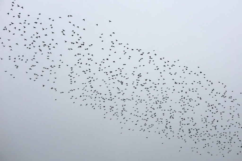 Bei um die sechs Grad liegen laut Deutschem Wetterdienst heute die Höchsttemperaturen in Mitteldeutschland. (Symbolbild)