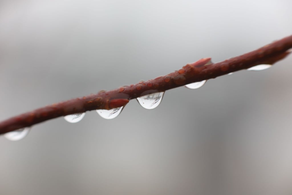 Das Wetter zeigt sich von seiner ungemütlichen Seite. (Symbolbild)