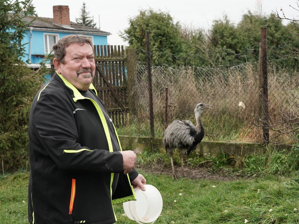 Ralf Werner aus Gleina in seinem Nandu-Gatter.