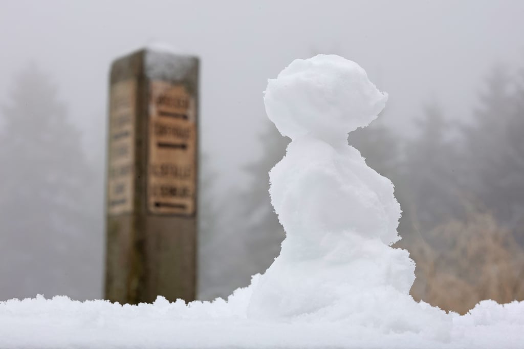 Einige Prognosen warnen vor einem Jahrhundertwinter, Doch lässt sich so etwas überhaupt seriös vorhersagen?
