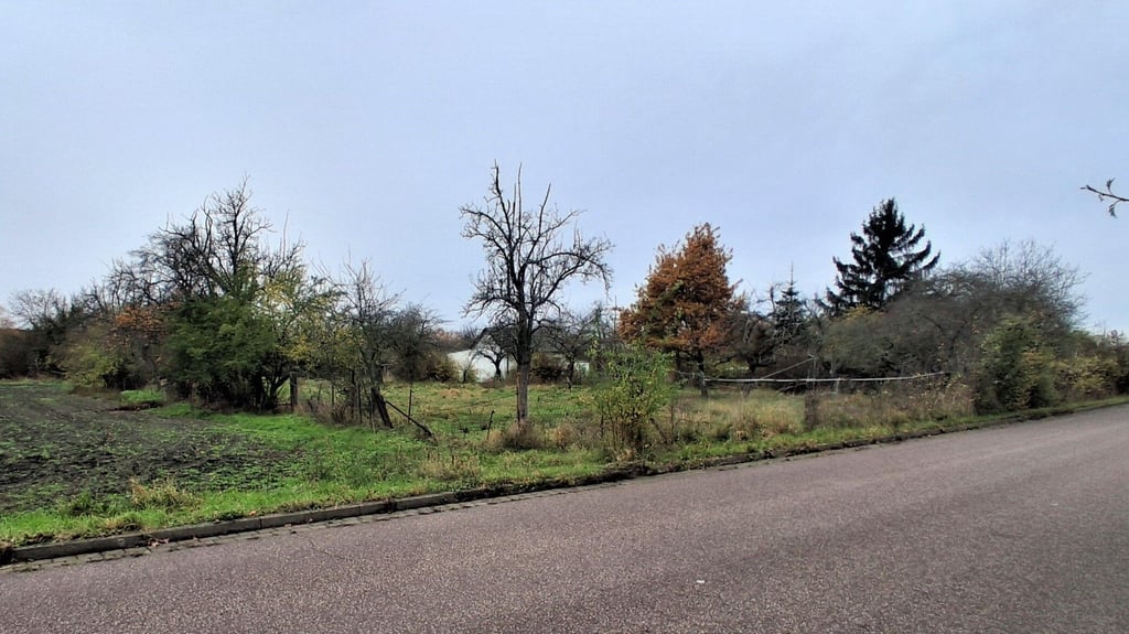 Dieses teils mit Bäumen bewachsene Grünland in Zerbst wird derzeit zum Kauf angeboten.