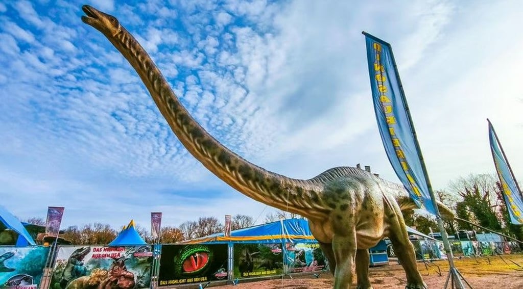 Auf nach Merseburg: Der Brachiosaurus ist 32 Meter lang und der größte Dinosaurier der Ausstellung.