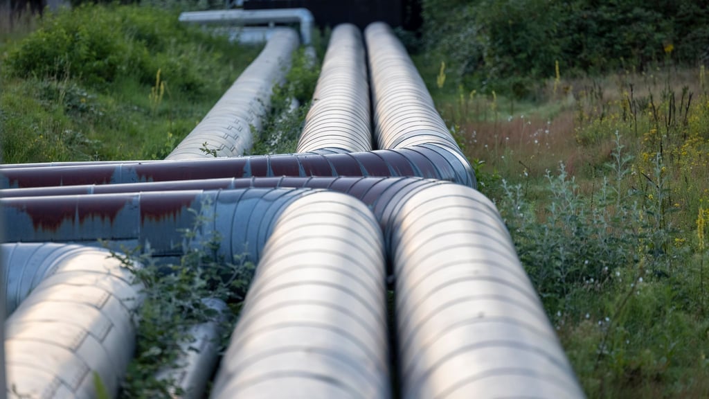 In Halle soll das Fernwärmenetz ausgebaut werden. (Archivbild)