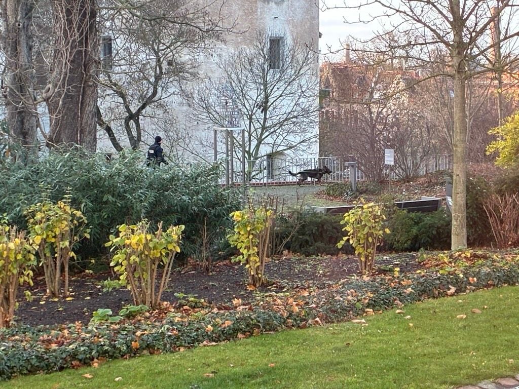 Sicherheit wird groß geschrieben: Spürhunde suchen das Gelände ab.