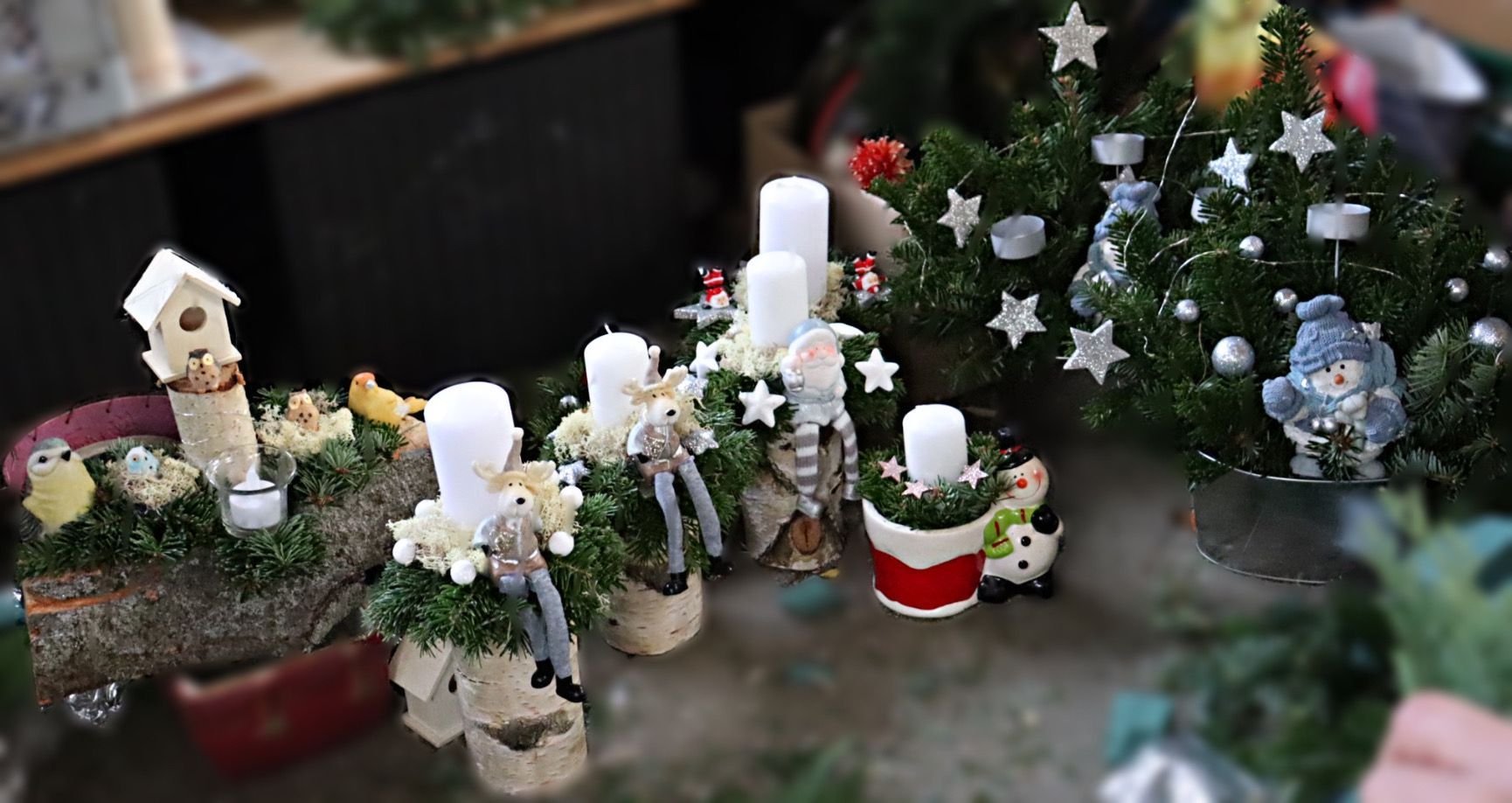 Veranstaltungstipp im Harz: Weihnachtliches fürs Derenburger Tierheim beim Tag der offenen Tier