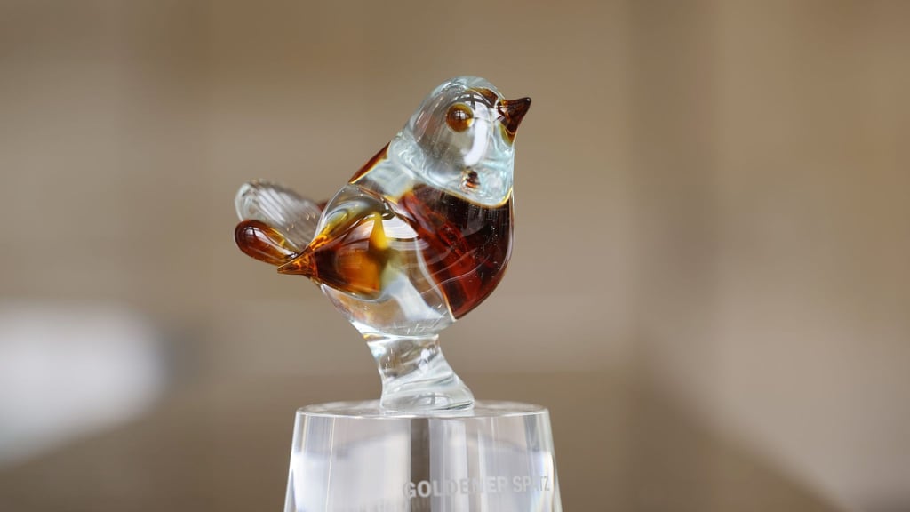 Für das Festival Goldener Spatz 2026 kann man sich ab jetzt bewerben. (Archivbild)