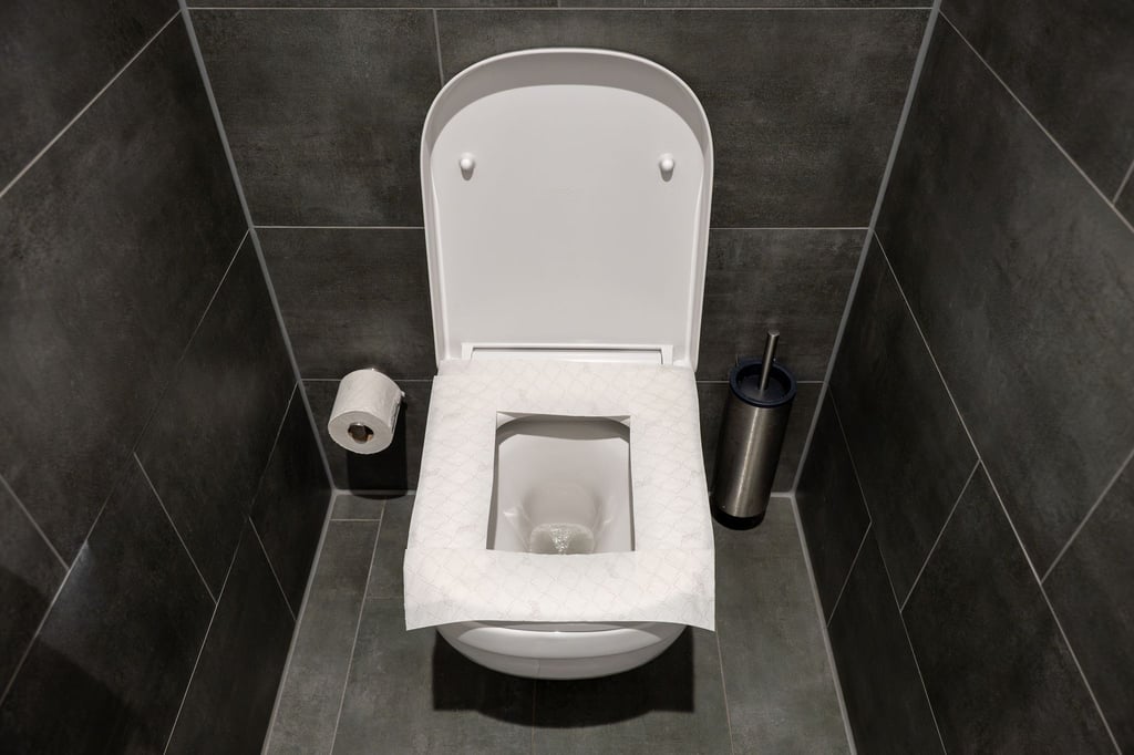 Kann nach hinten losgehen: Die Klobrille mit Toilettenpapier auszulegen, ist keine gute Idee, sagt ein Hygiene-Professor.