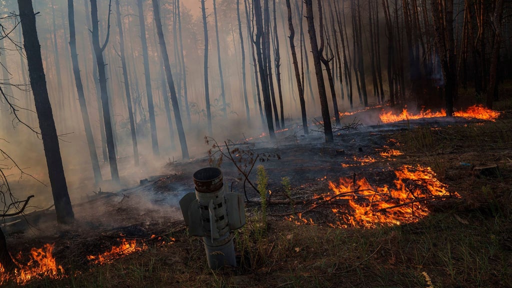 Abgebrannte Wälder, dazu Abgase von Militärfahrzeugen: Auch für das Klima ist der russische Angriffskrieg gegen die Ukraine eine Katastrophe. (Symbolbild)