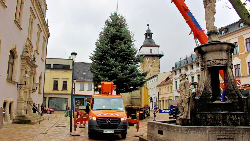 Aufstellung Weihnachtsbaum auf dem Schönebecker Marktplatz