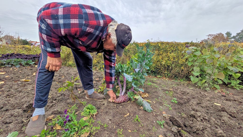 Ottfried Becker aus Pouch mit seinem langen Kohlrabi, dem er alle Zeit der Welt zum Wachsen einräumte. 