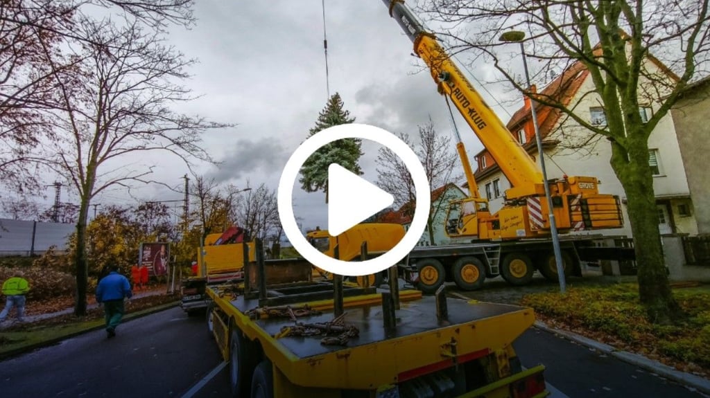 16 Meter hoch und zweieinhalb Tonnen schwer ist der diesjährige Merseburger Weihnachtsbaum.