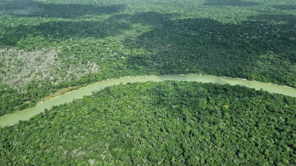 Deutschland gibt viel Geld für einen neuen Tropenwaldfonds.
