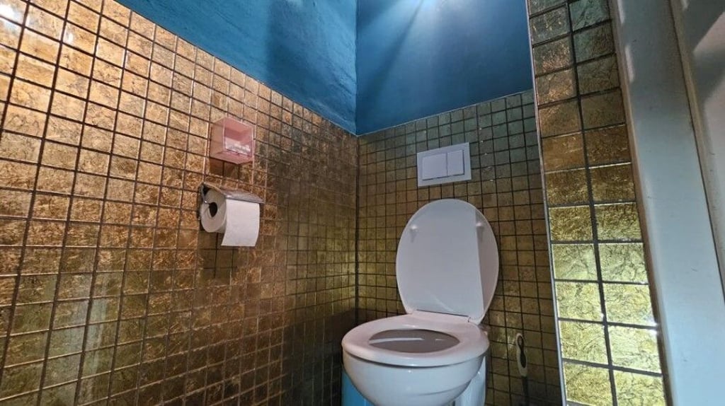 Vielleicht Halles schönstes Klo ist diese Damen-Toilette in einem Café.