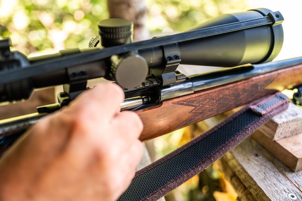 Nach dem Tod eines Beteiligten einer Gemeinschaftsjagd Anfang des Jahres in Mecklenburg-Vorpommern dauern die Ermittlungen an. (Symbolbild)