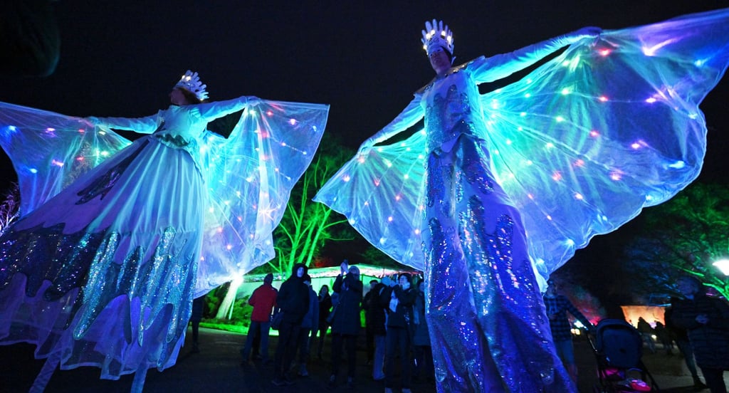 Das Winterleuchten hat im Erfurter egapark schon Tradition. Auch in dieser Saison wird es wieder ein Leucht-Spektakel geben. (Archivbild)