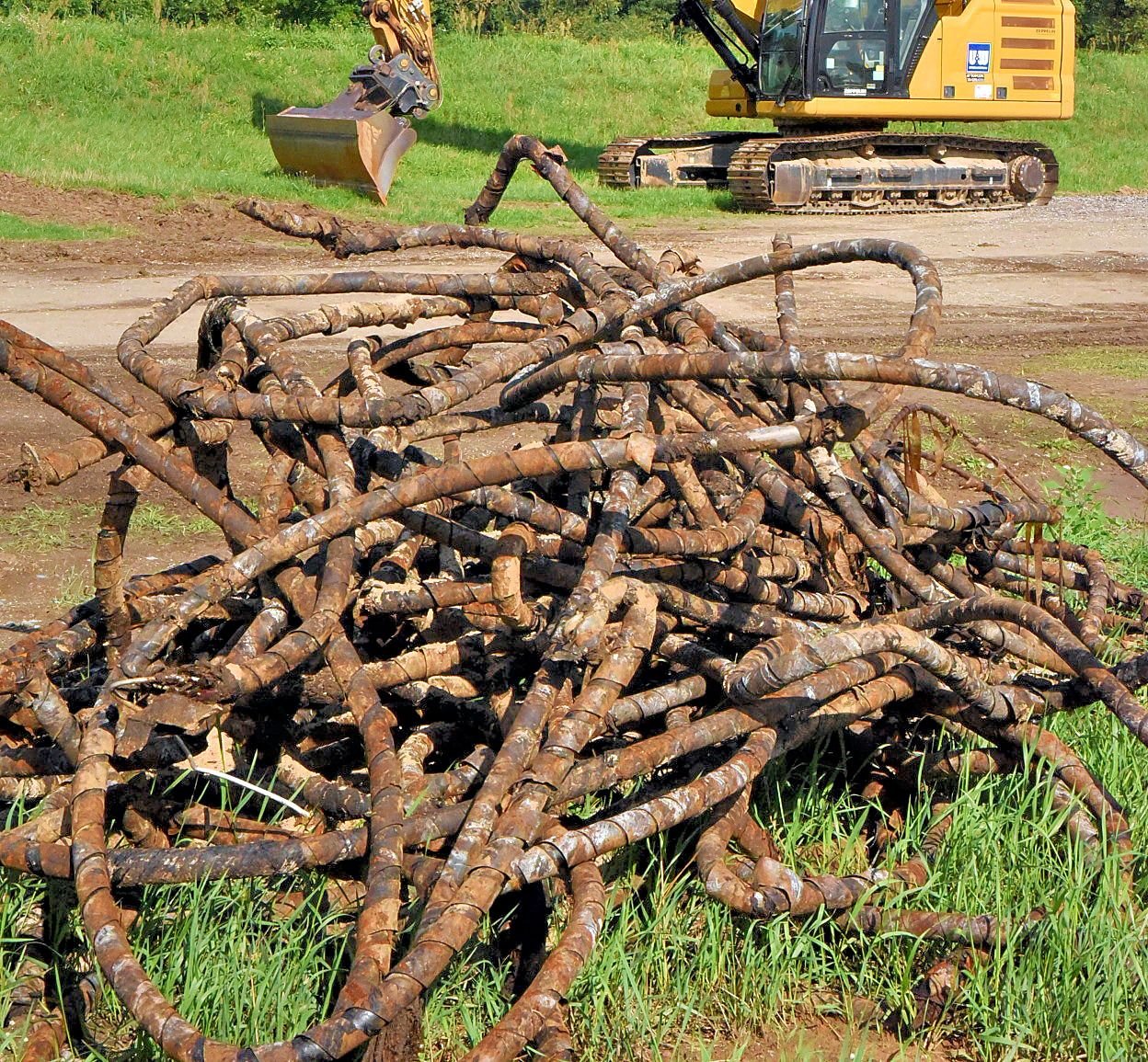 Sanierung der Deiche: Deiche werden sicherer gemacht