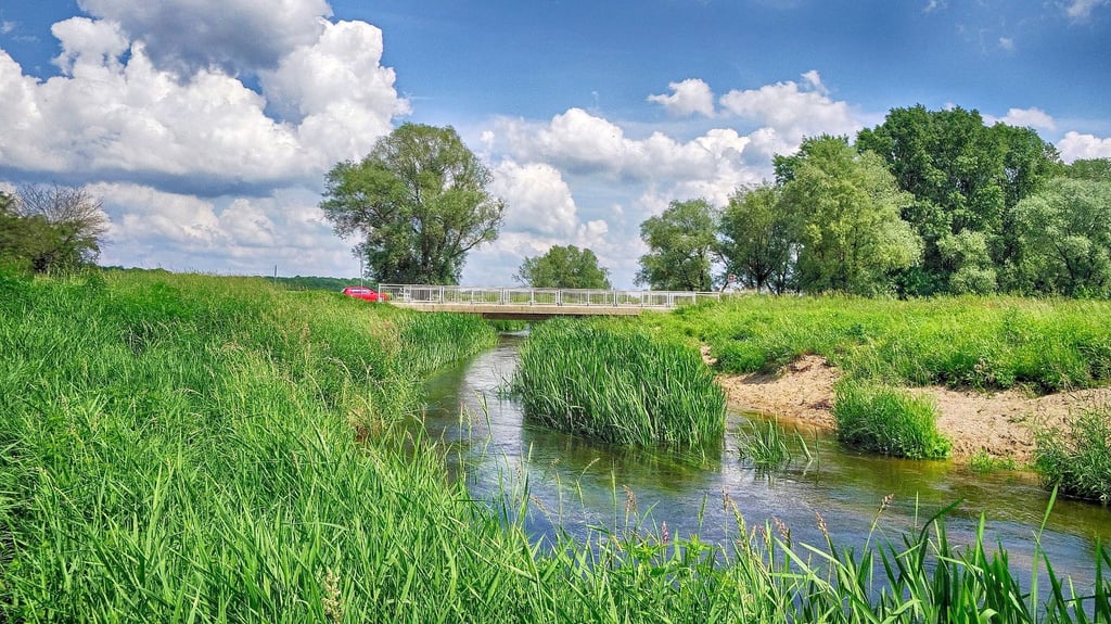Die Schweinebrücke über die Ehle bei Biederitz heute. Hier ist die finale Station der Überreste von Adolf Hitler.&nbsp;