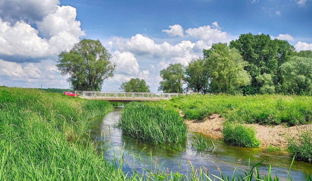 Die Schweinebrücke über die Ehle bei Biederitz heute. Hier ist die finale Station der Überreste von Adolf Hitler. Oben rechts Autor Harald Sandner, der die letzten Jahre akribisch nachgezeichnet hat.