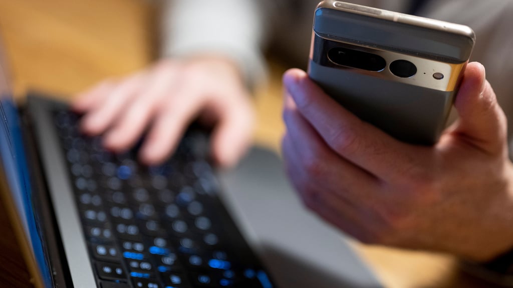 Im Internet lauern viele Betrüger, die nur darauf warten, dass ein argloser Kunde in ihre Falle tappt.