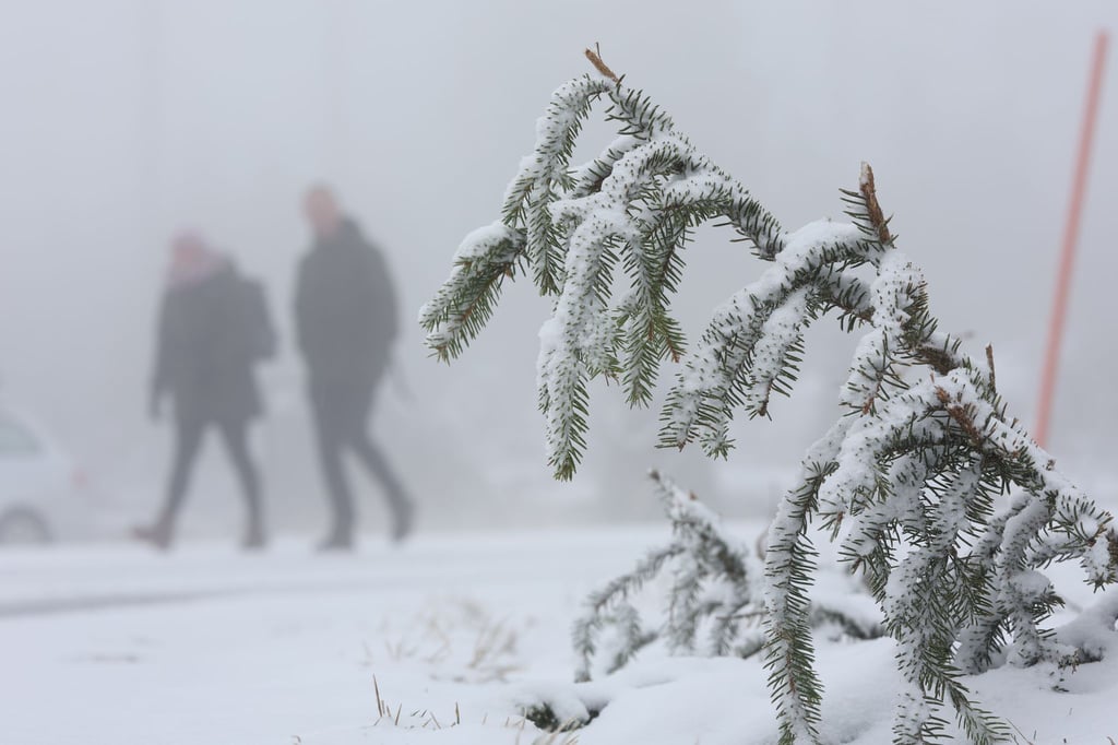 In den Mittelgebirgen wie dem Harz wird am Mittwoch Neuschnee erwartet.