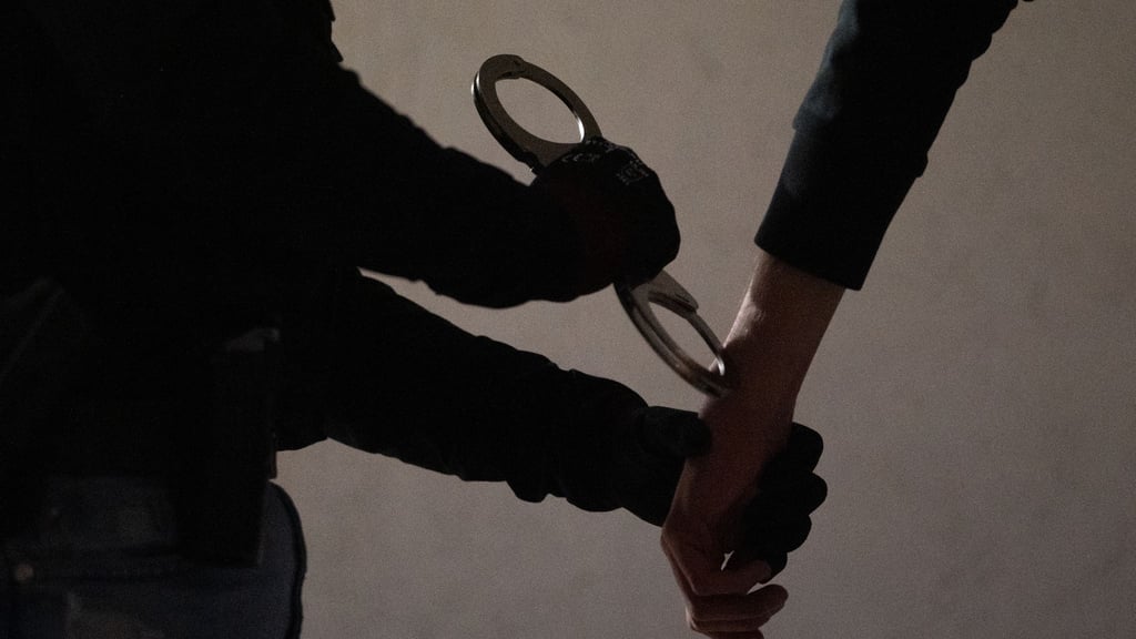 Der Täter wurde direkt in eine Justizvollzugsanstalt gebracht. (Symbolbild)