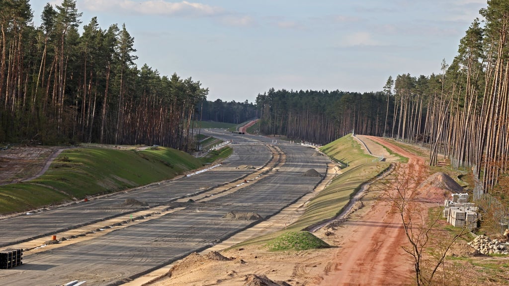In einem Waldstück bei Gardelegen sollen erneut Bäume gepflanzt werden - als Ausgleich für die Verlängerung der A14. (Archivbild)