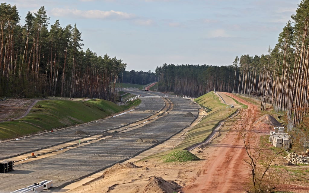 In einem Waldstück bei Gardelegen sollen erneut Bäume gepflanzt werden - als Ausgleich für die Verlängerung der A14. (Archivbild)