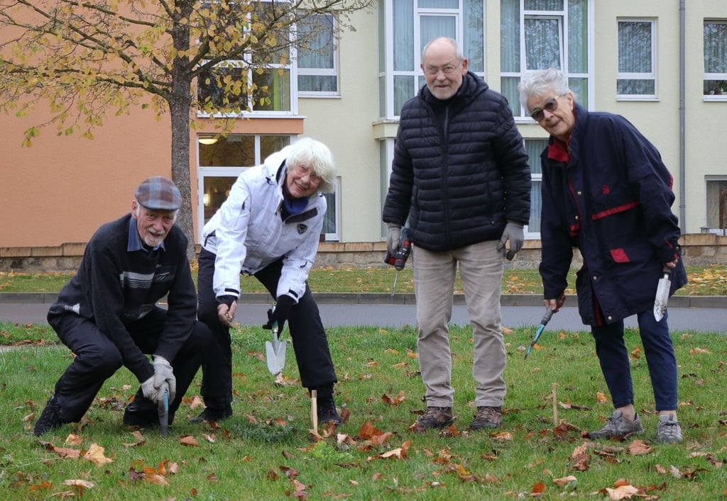 Reinhard Beck, Sabine Beck, Josef Mikulas und Gisela Eidner (von links) beim Setzen der Frühblüher. Im Hintergrund das Halberstädter Seniorenheim „Vitanas“, aus dessen Fenstern die Bewohner die Wiese sehen können.