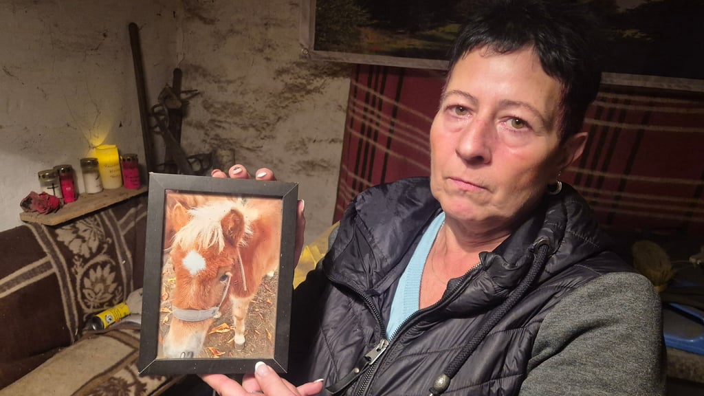 Es vergeht kein Tag, an dem Ina Scheller aus Harzgerode nicht mit Trauer an ihre Stute Foxi denkt. 