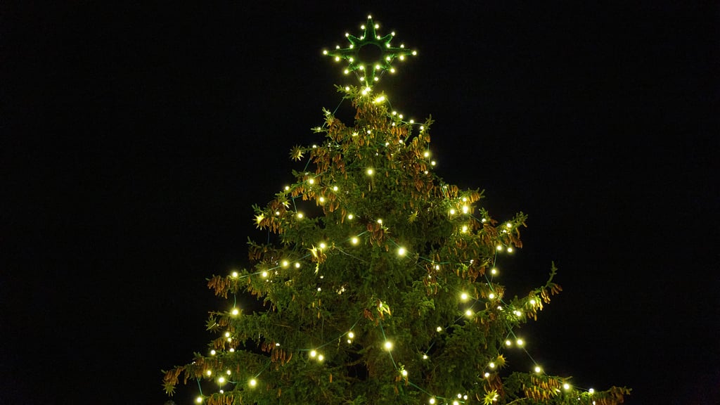 Ein Magdeburger Stadtteil muss wegen des Verzugs auf einer Baustelle 2025 auf einen Weihnachtsbaum verzichten.