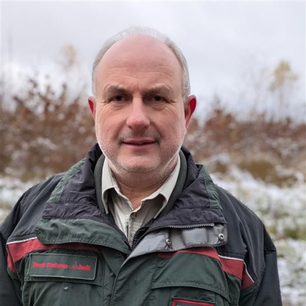 Teils schon drei Meter hoch sind die jungen Eichen nahe der B 188 gewachsen und haben Trockenheit und Spätfrösten getrotzt. Sie dürfen nun bleiben - eventuell als Versuchsfläche.