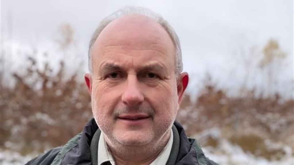 Teils schon drei Meter hoch sind die jungen Eichen nahe der B 188 gewachsen und haben Trockenheit und Spätfrösten getrotzt. Sie dürfen nun bleiben - eventuell als Versuchsfläche.