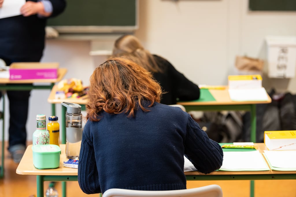 Dürfen sich Lehrer zu ihrer Haltung zur AfD im Unterricht äußern? Das Landesarbeitsgericht befasst sich mit der Klage eines Lehrers dazu.