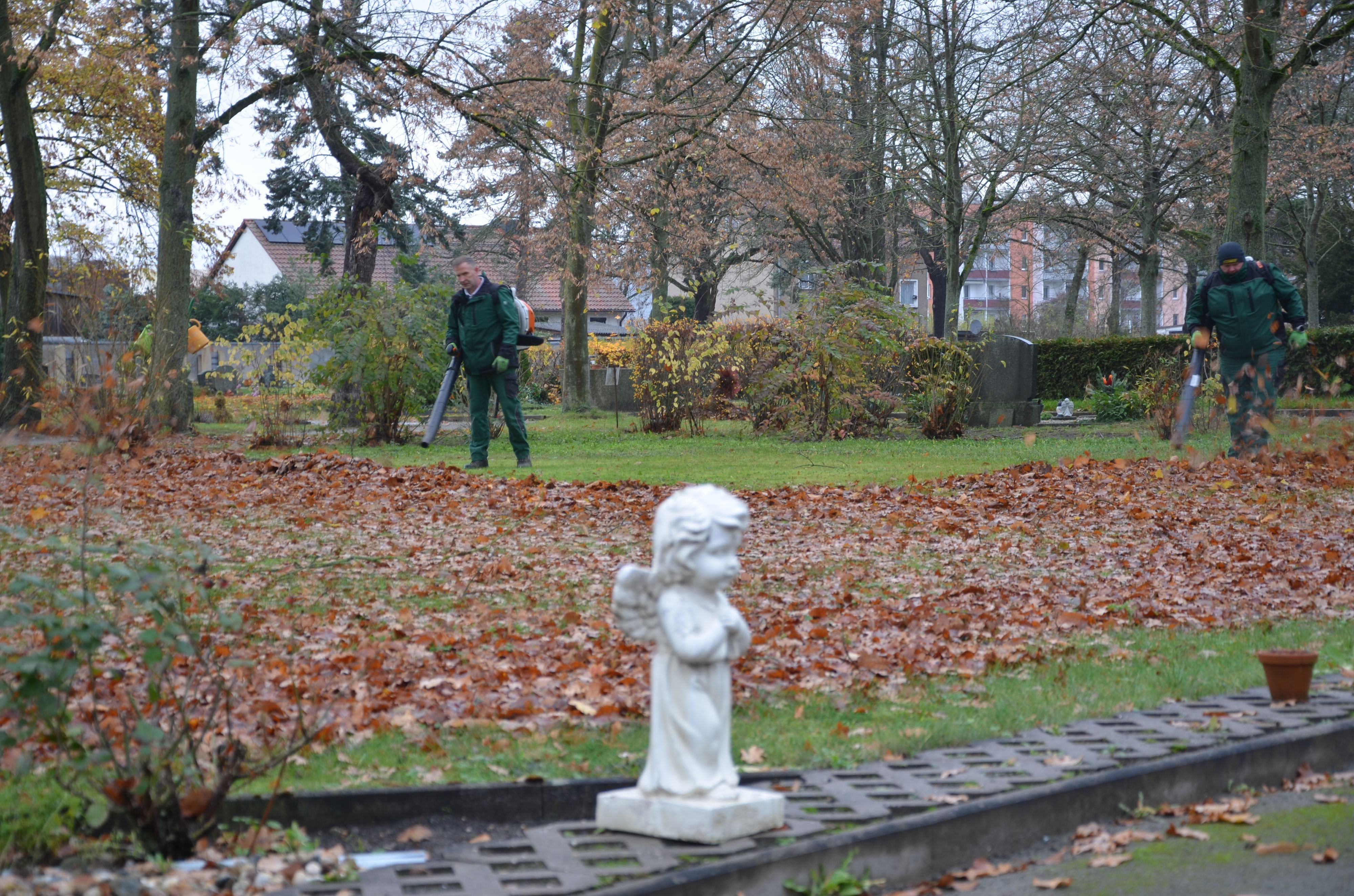 Neues Bestattungsgesetz in Sachsen-Anhalt: Minusgeschäft mit dem Tod: Friedhöfe lohnen sich nicht für Börde-Städte