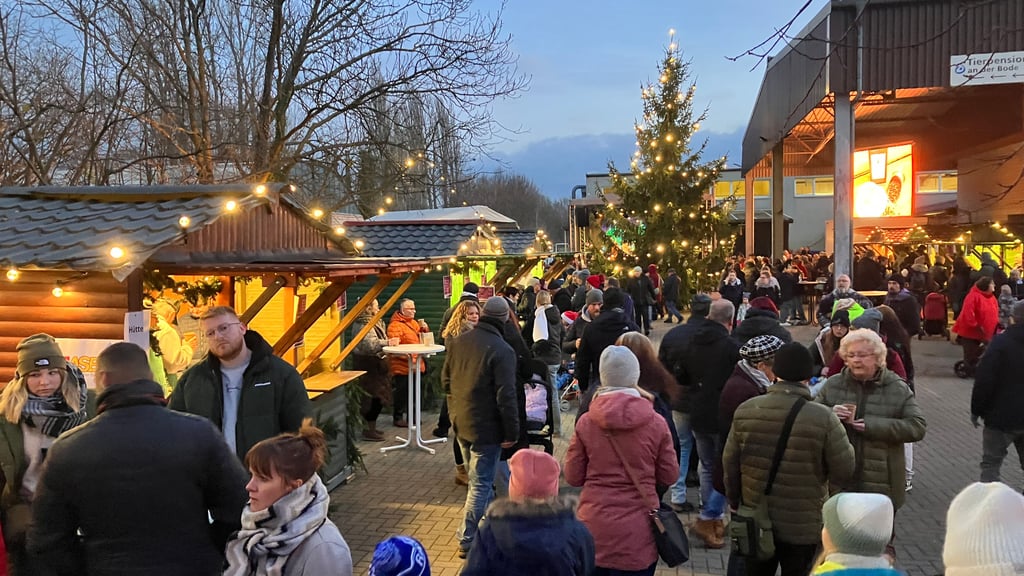 Viel los ist immer beim Vorfreude-Weihnachtsmarkt in Weddersleben.