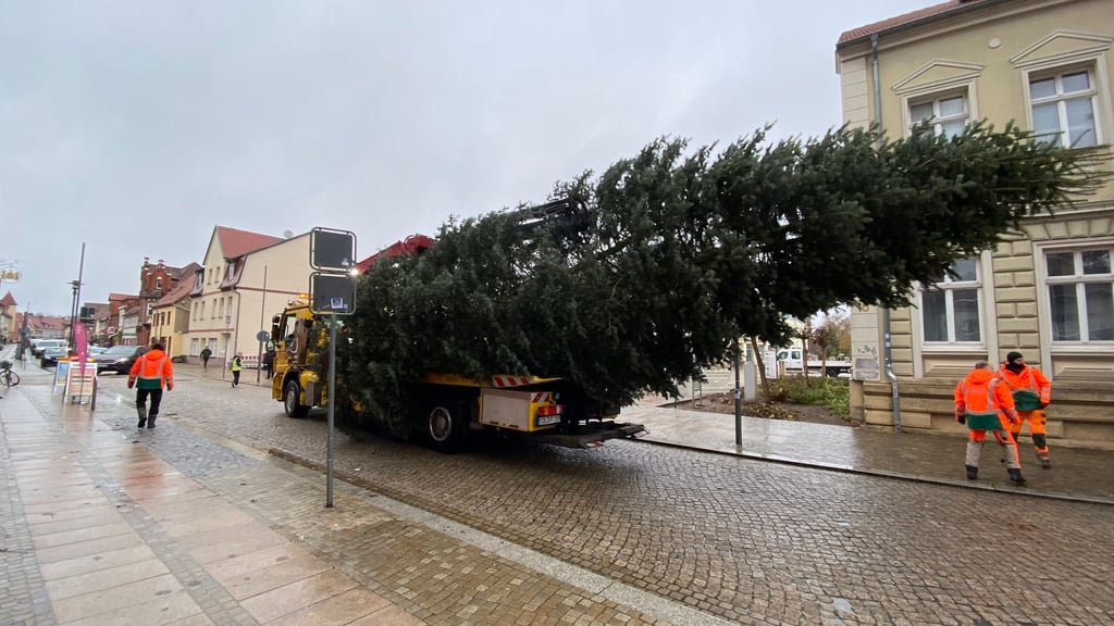 Mit einem Lkw-Kran der Stendaler Firma Freytag wurde die Tanne von Gladigau in die Innenstadt von Osterburg transportiert.