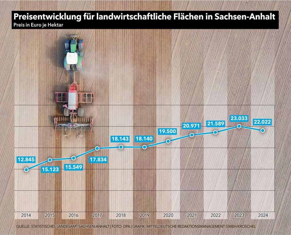 Die Preise für landwirtschaftliche Flächen in Sachsen-Anhalt sind in den vergangenen zehn Jahren deutlich gestiegen.