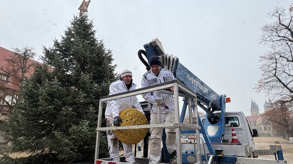 Christian Oppermann (links) und David Kämpfe, Mitarbeiter der Firma Schmidgunst&Herrmann, versehen den Weihnachtsbaum auf Halberstadts Domplatz mit Lichterschmuck.