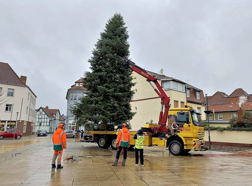 Seit Donnerstag steht der Weihnachtsbaum auf dem August-Hilliges-Platz in Osterburg.