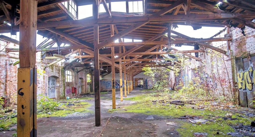 Die Gebäude sind stark sanierungsbedürftig. In manchen wachsen sogar schon Bäume, das Dach ist zum Teil eingestürzt.