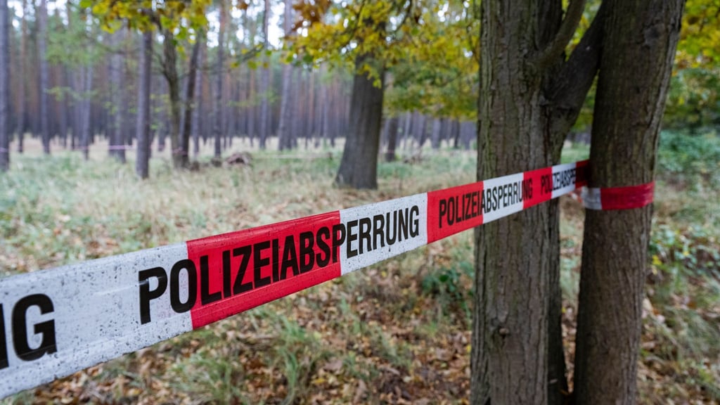 Am Donnerstag soll die Bombe durch den Kampfmitteilbeseitigungsdienst des Landes Brandenburg entschärft werden. (Archivbild)