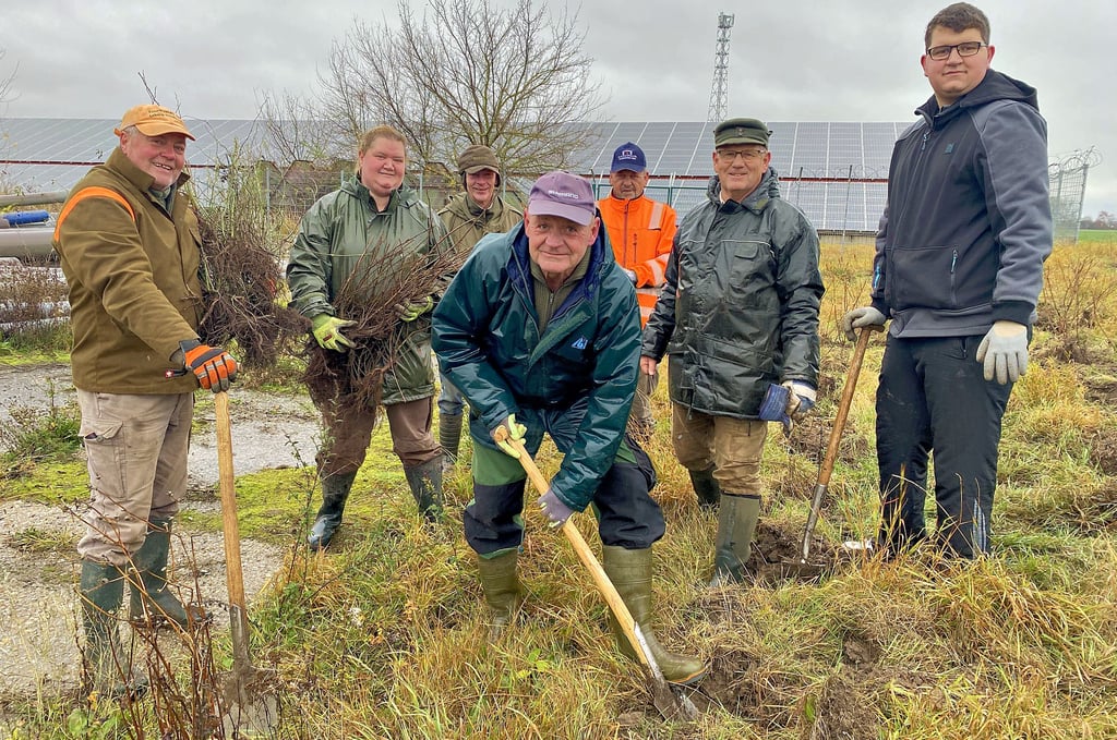 Hunderte neue Bäume und Sträucher sind von Freiwilligen in Baalberge gepflanzt worden. Initiator ist Karl Opitz (2.v.r.) gewesen. 