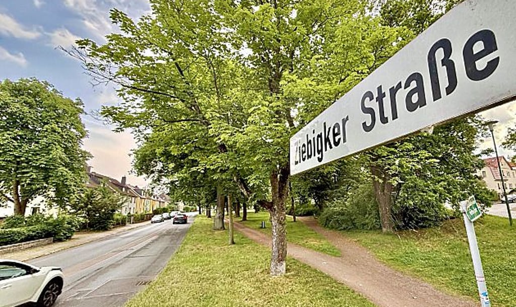 Viele Radler weichen auf den Weg in der Grünanlage rechts aus. Doch ein offizieller Fahrradweg ist das nicht.  Anwohner wünschen sich daher auf der gesamten Strecke Tempo 30.