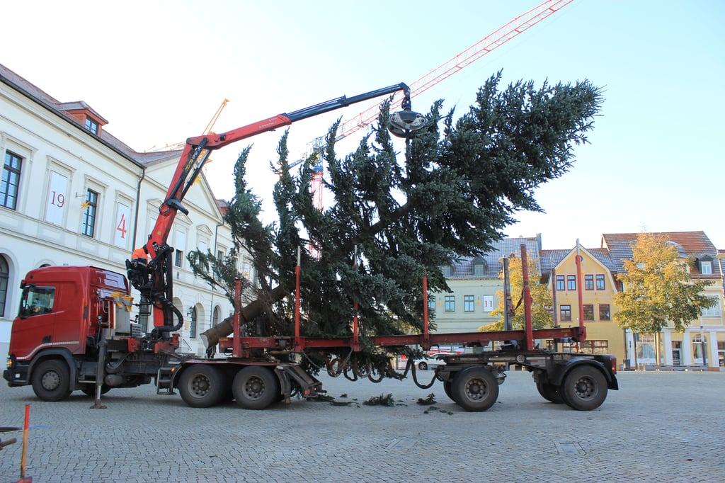 Der Weihnachtsmarktbaum für Haldensleben wird geliefert.