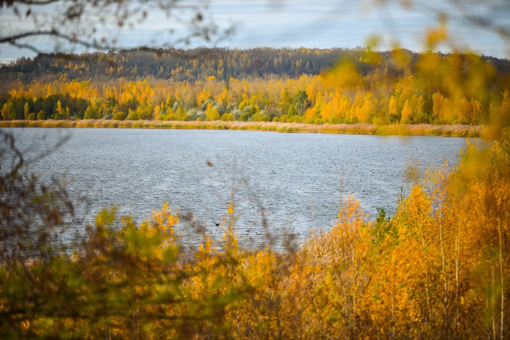 Am Ufer des Runstedter Sees soll gebaut werden.