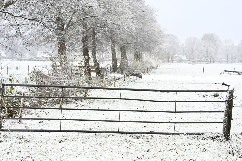 Weiteren Schnee sagt der Deutsche Wetterdienst frühestens am Sonntag vorher.