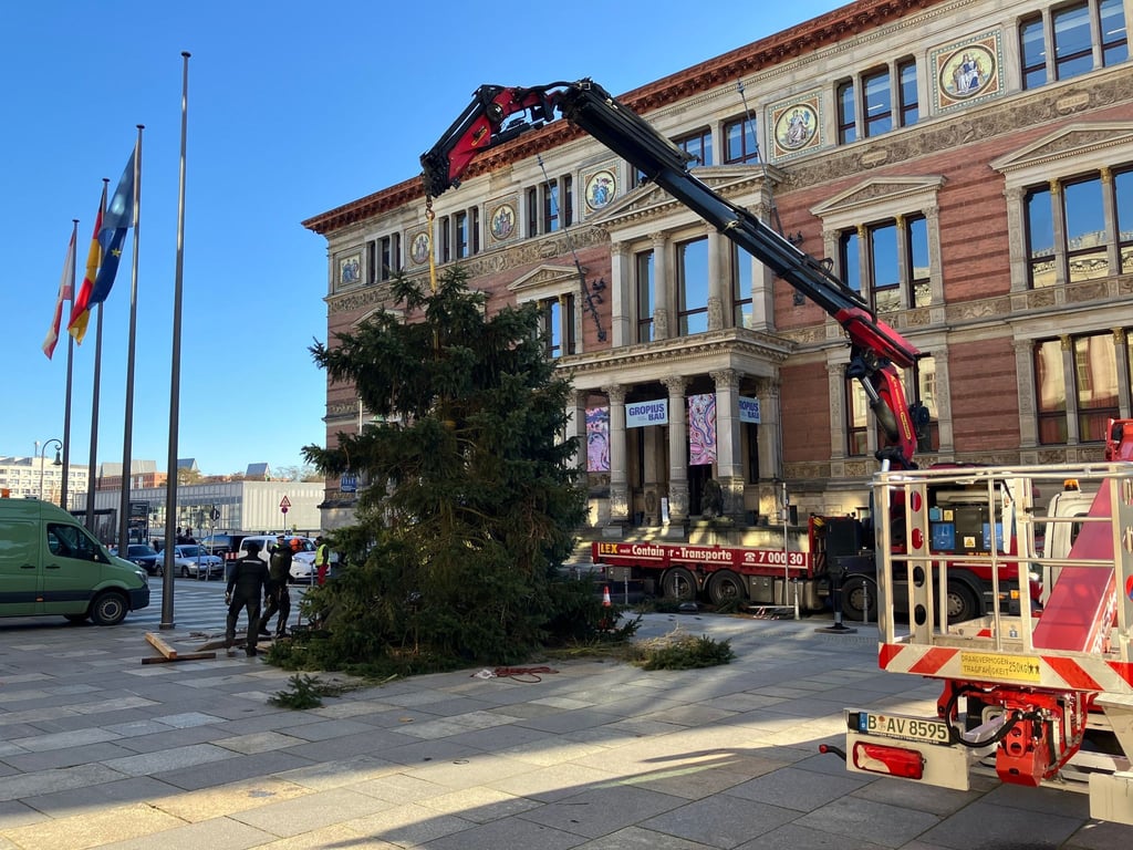 Pannen mit Weihnachtsbäumen sind in Berlin keine Seltenheit.