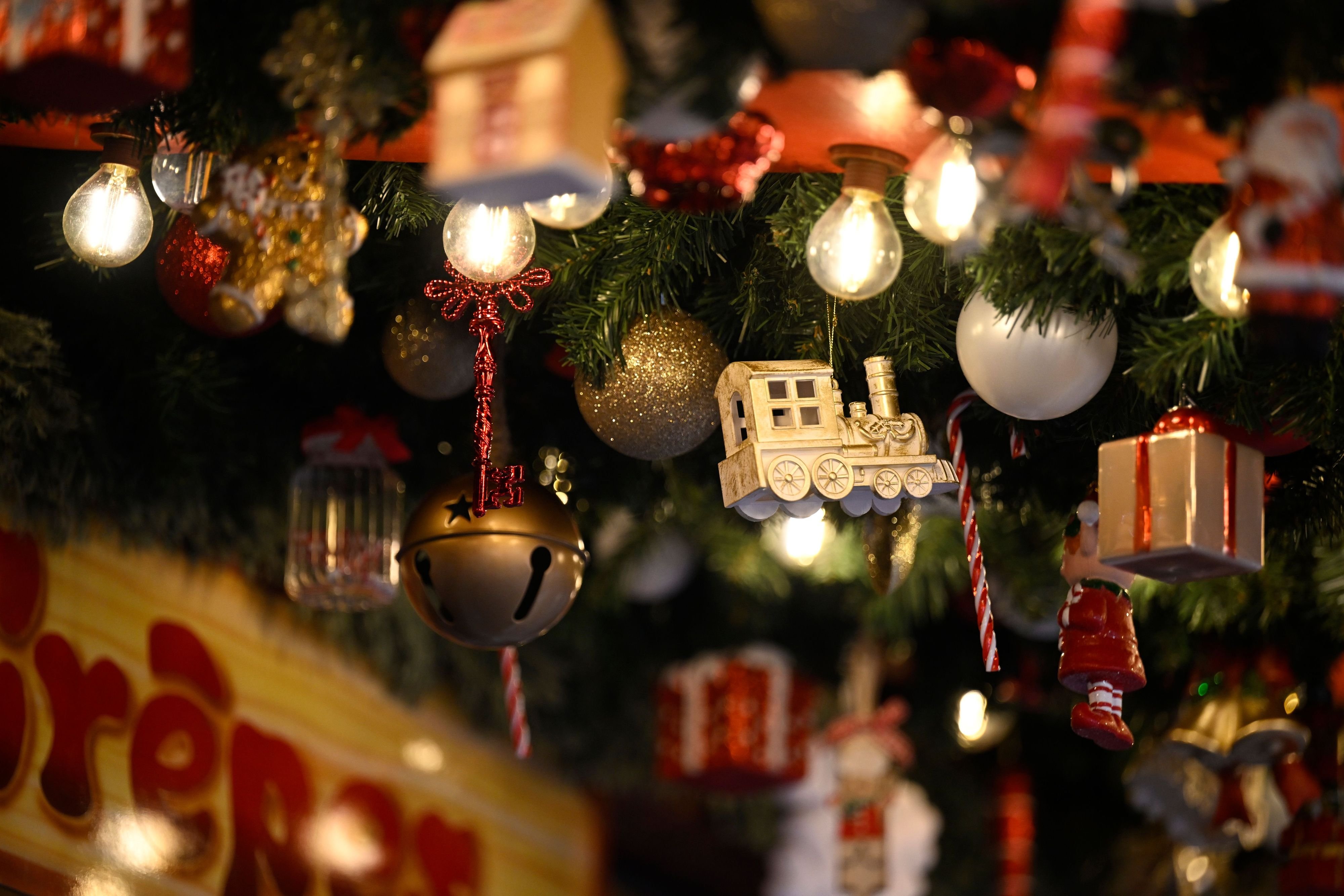 Zwischen Plätzchenduft und Bescheidenheit: Weihnachten im Jerichower Land: Wie Burg und Gommern sich auf Weihnachten einstimmen