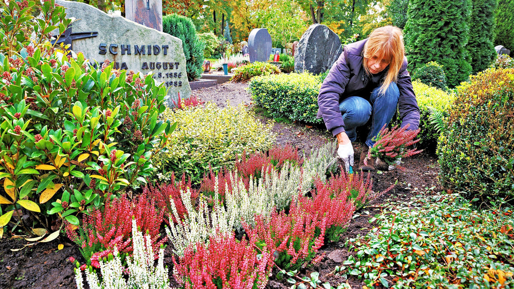 Zum Totensonntag kümmern sich die Menschen traditionell verstärkt um die Grabpflege ihrer Liebsten. Viele engagieren jedoch auch einen Grabpfleger, der diese Aufgabe übernimmt.