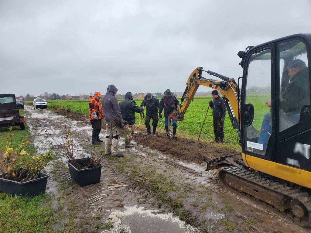 Tatkräftige Aktion der Jeggauer Dorfgemeinschaft. 120 Heckenpflanzen wurden entlang des Gardelegener Weges in die Erde gesetzt. 